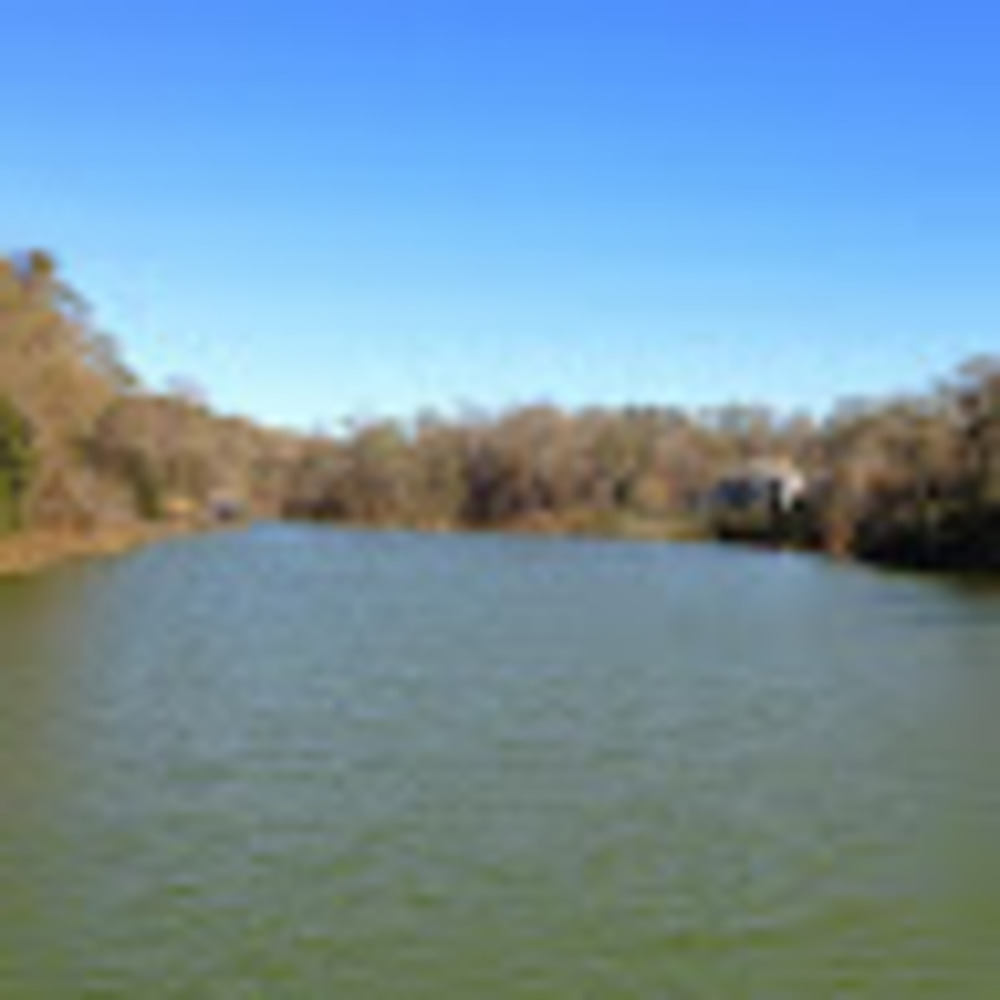 Meet your Posher, Huey